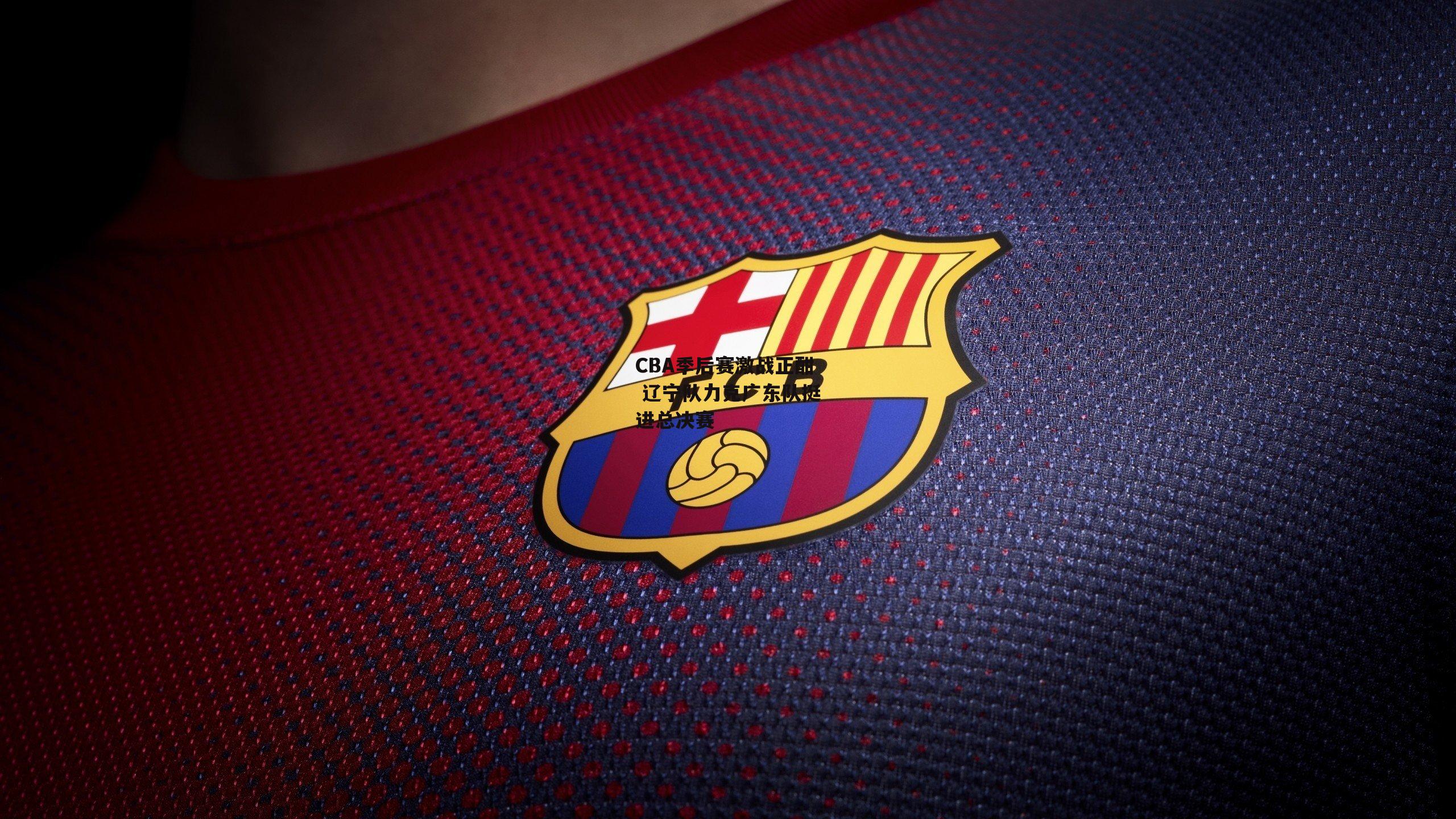 CBA季后赛激战正酣 辽宁队力克广东队挺进总决赛