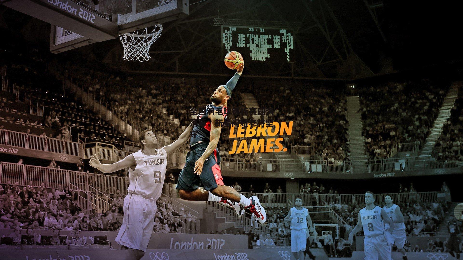 全国羽毛球锦标赛圆满落幕，新星闪耀老将坚守