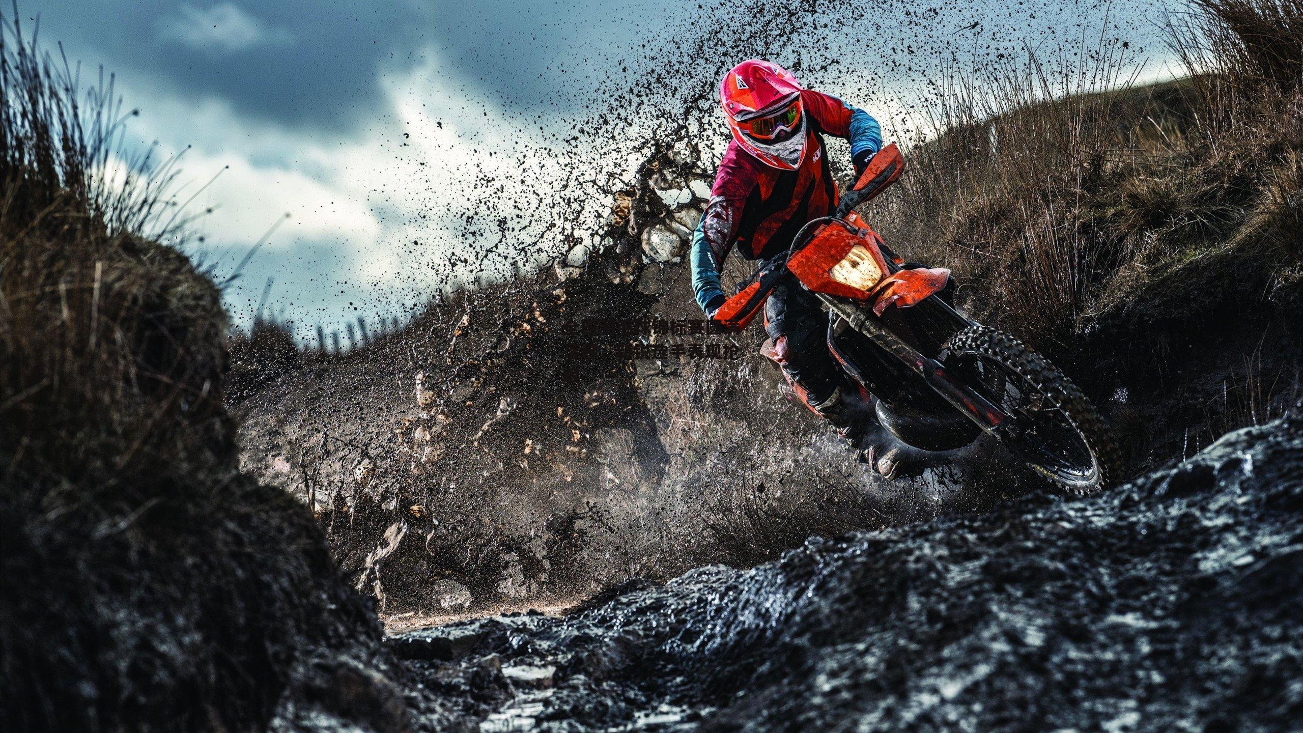 全国羽毛球锦标赛圆满落幕,新锐选手表现抢眼